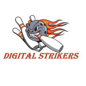 Team Page: Digital Strikers